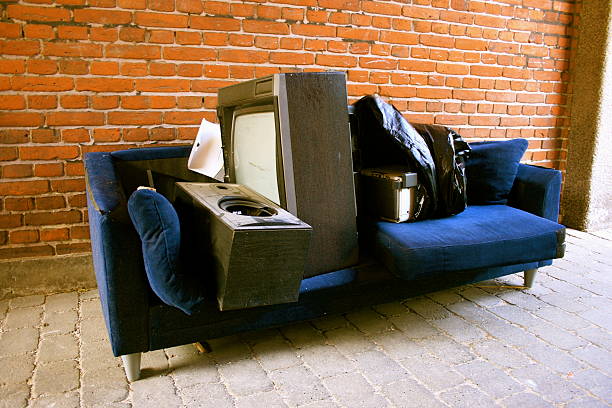 Best Professional Junk Removal  in Lamar, SC